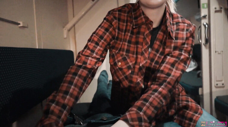 Легкодоступная русская попутчица сделала минет незнакомому парню в купе поезда