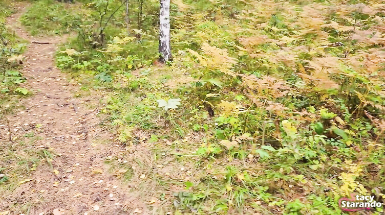 Оргазм: Сводная сестра дрочит пизду вибратором после минета в лесу своему брату