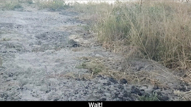 Тупая русская брюнетка отдалась на пляже незнакомцу и получила сперму в пизду