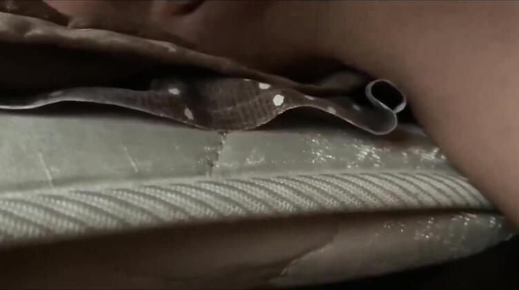 HD порно: Домашний минет и анал перед зеркалом