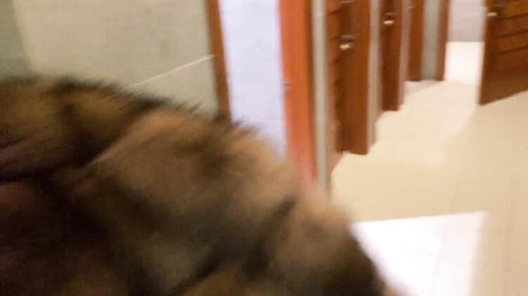 Публичное порно с Алиной Тумановой на трассе и в туалете торгового центра