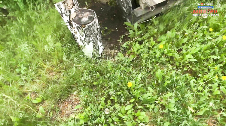 Дал в рот соседке по даче и трахнул ее раком на участке